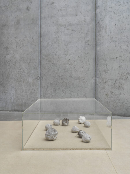 Dirty Snowballs III, Clay, Stone, Earth, Small Branches, Grass, Variable Size, Times Art Center Berlin, 2021